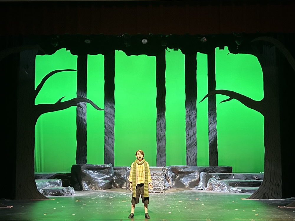 Into The Woods, Jr